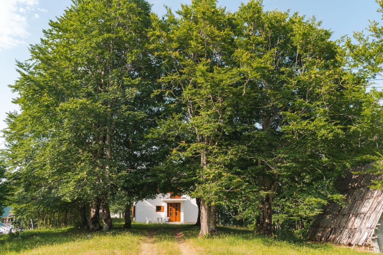 Highlander'S House Vila Žabljak Exterior foto